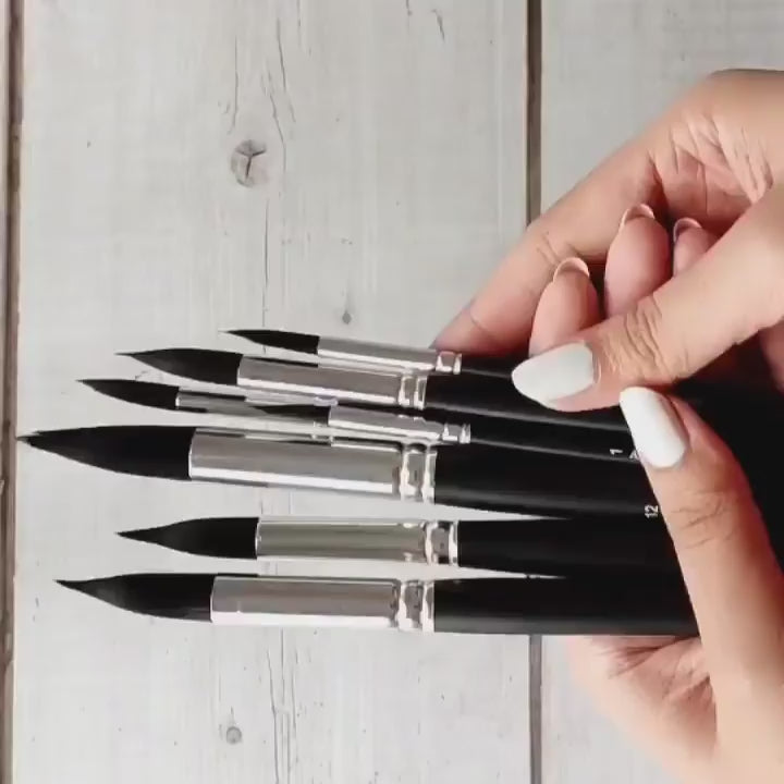 Silver Bill soft Premium Watercolour Brushes set by Artyshils Art