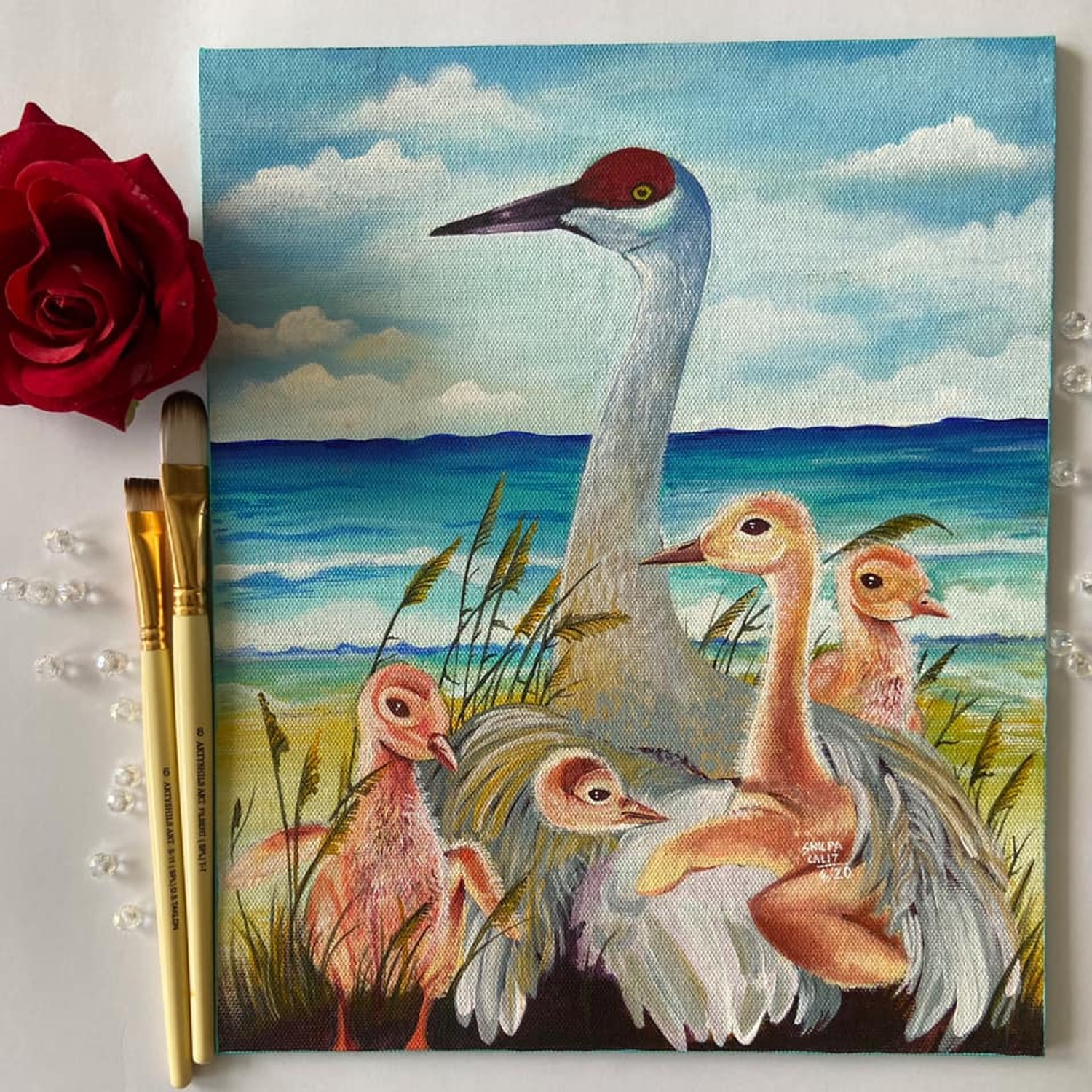 4 birds acrylic painting workshop bundle | Flamingo, Macaw, Owl &amp; Beach Birds | Step by step detailed workshops